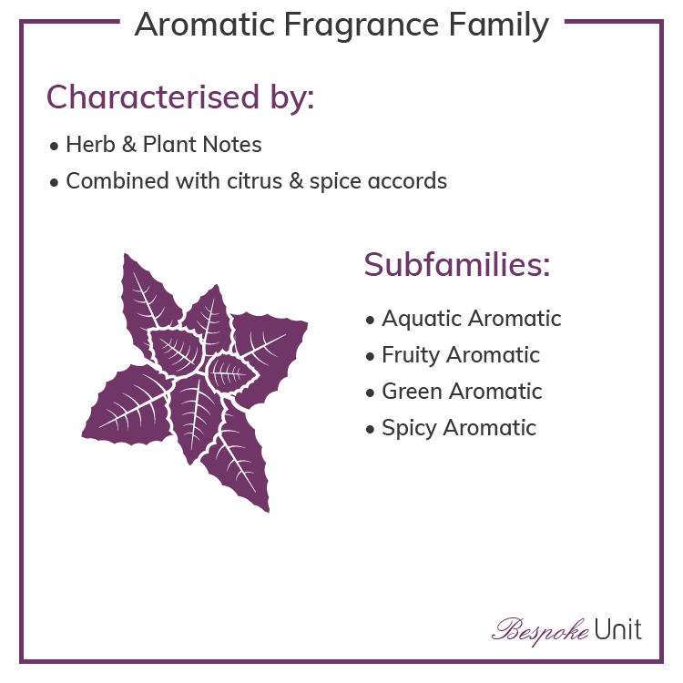 Aromatic Olfactive Family Fragrances & Sub Groups