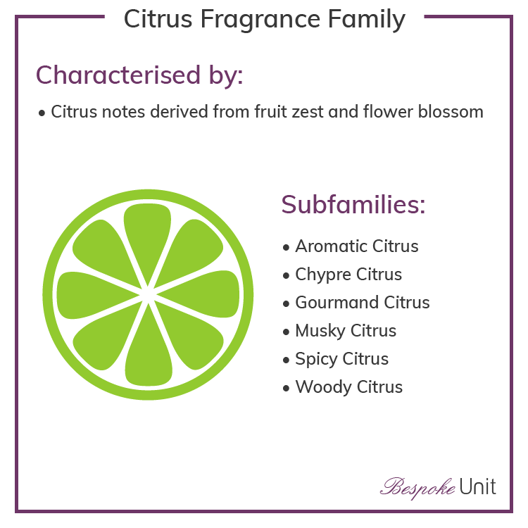 Citrus Olfactive Family Fragrances & Sub Groups