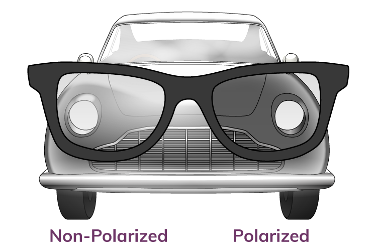 Demonstration Of Polarized Lenses