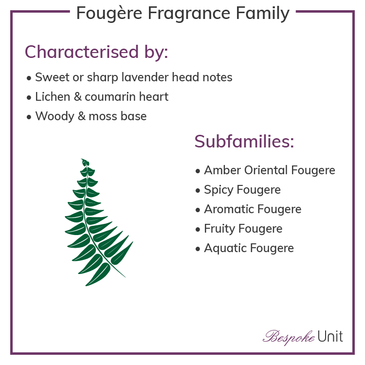 Fougere Olfactive Family Fragrances & Sub Groups