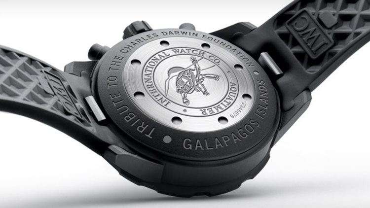 IWC Charles Darwin Limited Edition Back Engraving