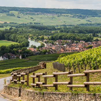 Moët & Chandon Vineyards Near Hautvillers Premier Cru Village