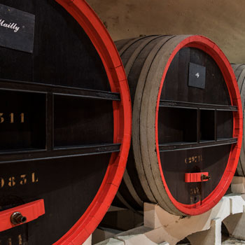 Oak Casks For Fermenting Champagne