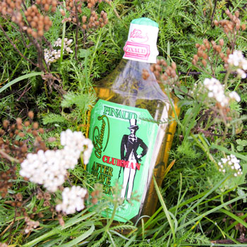 Pinaud Clubman After Shave Lotion Bottle Flowers & Grass