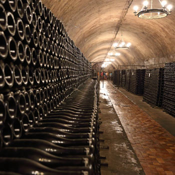 Underground Cellar Stacked Champagne Bottles