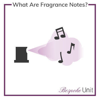 What Are Fragrance Notes & Accords