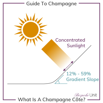 What Is A Champagne Cote Vineyard Slope