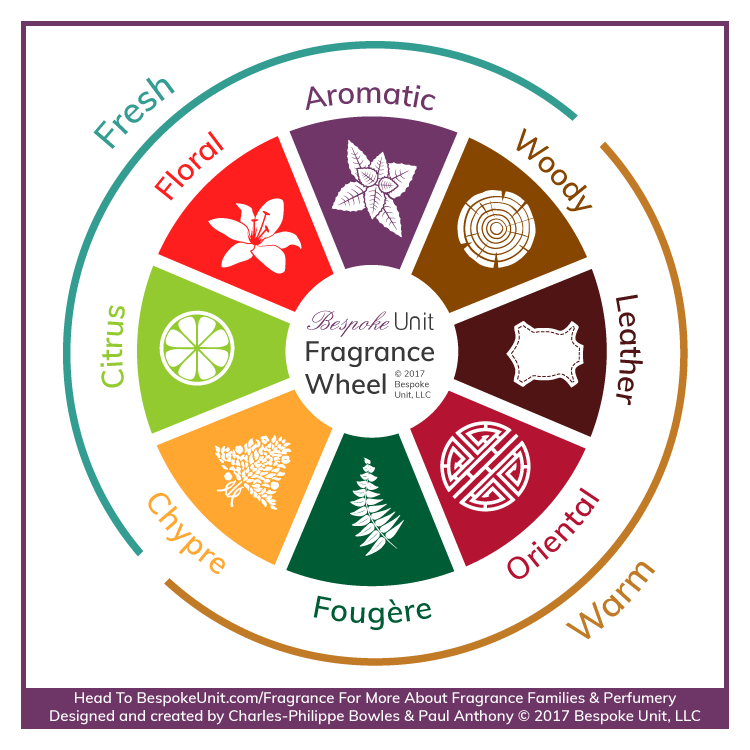 What Is A Men's Olfactive Fragrance Wheel