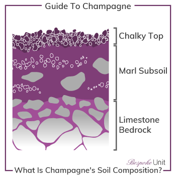 What Is Champagne's Soil Composition