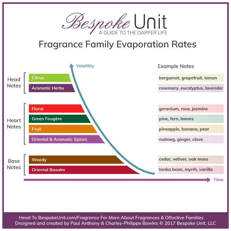 fragrance family volatility life cycle perfume pyramid