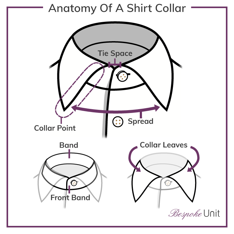 Anatomy-Of-A-Shirt-Collar Graphic