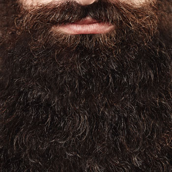 Closeup Of Shiny Healthy Long Beard