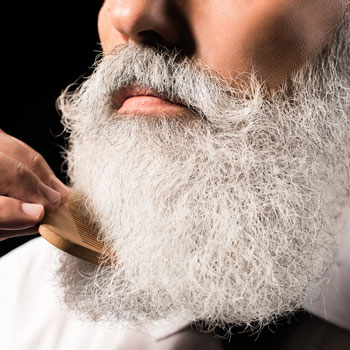 Gentleman Combing Silver Beard With Wooden Comb