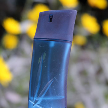 Kenzo Homme Bottle In Front Of Yellow Flowers