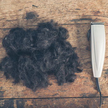 Pile Of Beard Hair Next To Trimmer