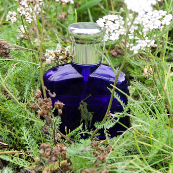Ralph Lauren Polo Blue Bottle In Long Grass