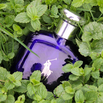 Ralph Lauren Polo Blue Bottle On Mint Leaves