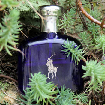 Ralph Lauren Polo Blue Bottle Surrounded By Fir
