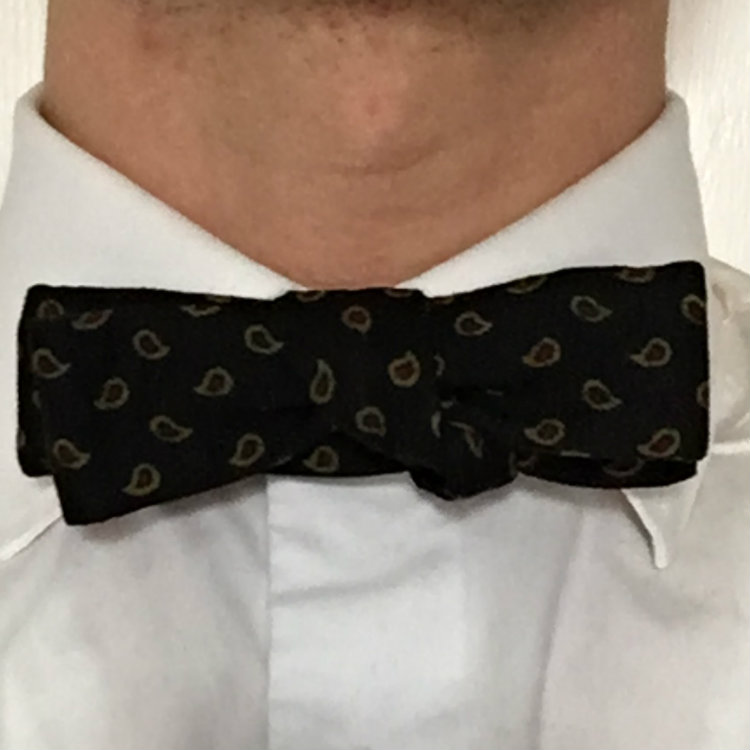 batwing bow tie