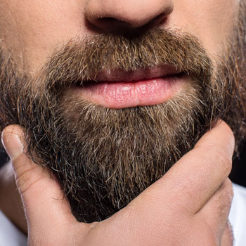 man stroking beard brush how to