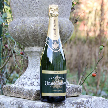 Canard Duchene Authentic Champagne Brut In Front Of A Stone Vase Canard Duchene Authentic Champagne Brut In Front Of A Stone Vase