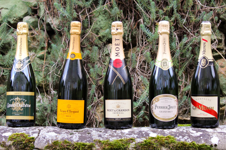 Three views of aviator glasses Three views of aviator glasses