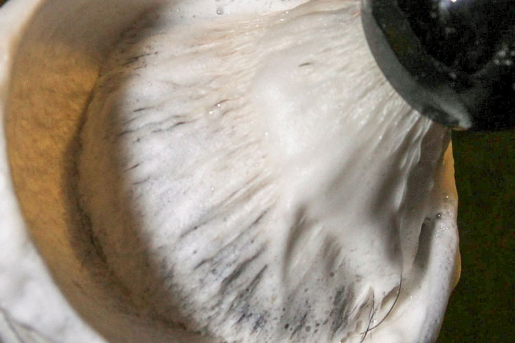 Shaving-Brush-&-Soap-Lathering Shaving-Brush-&-Soap-Lathering