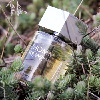 Yves Saint Laurent L'Homme Bottle In Green Plants
