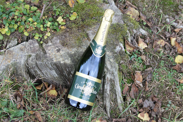 Canard Duchêne Authentic Brut Champagne Bottle On Oak Stump