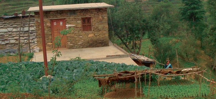 Audemars Piguet Funds Himalayas Rosemary Replanting Project