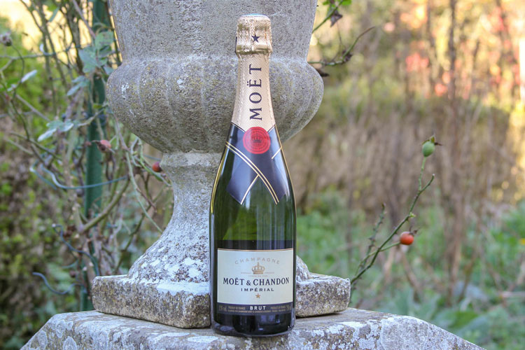 Moet et Chandon Imperial brut bottle on stone wall