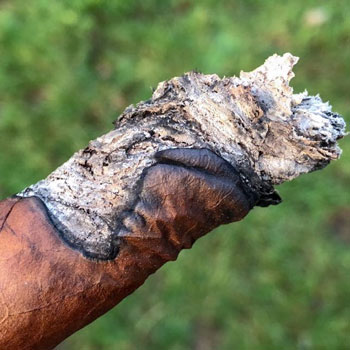 Cigar Canoeing Example