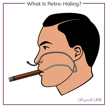 What Is Retro-Haling