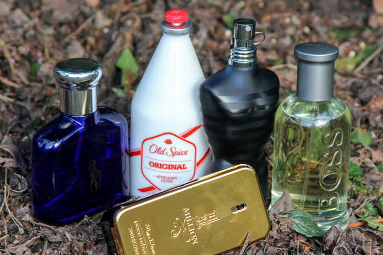 Best Men's Casual Colognes & Fragrances