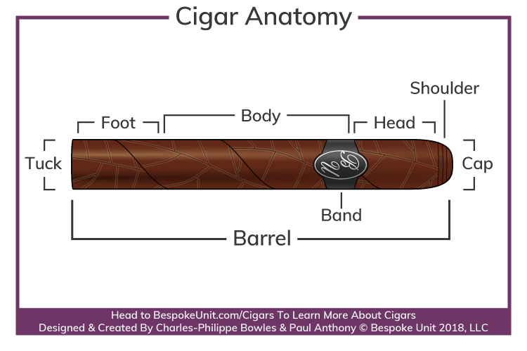 Cigar Anatomy Parts Diagram