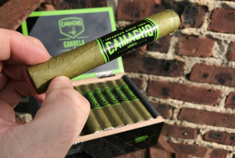 Green Criollo Leaf Up Close