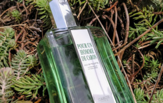 Pour Un Homme de Caron Cologne On Fern