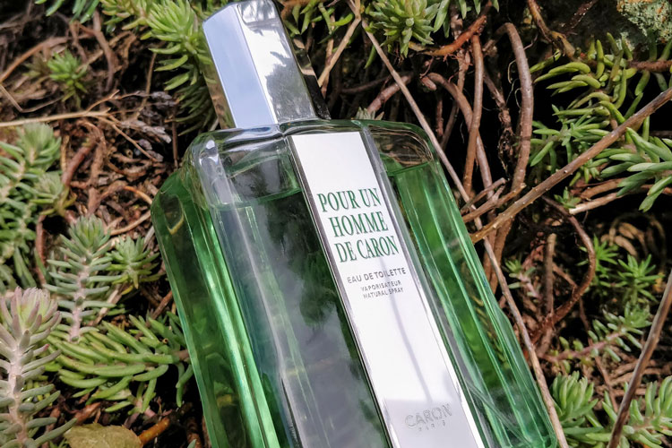 Pour Un Homme de Caron Cologne On Fern