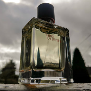 Terre d'Hermès In French Garden