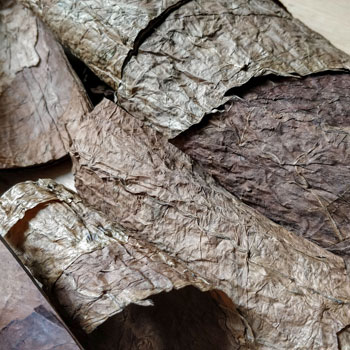 Binder Tobacco From Dissected Cigar