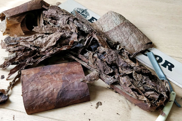 Dissected Cigar With Razor