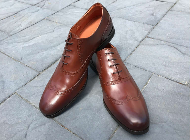 Wolf & Shepherd Senna Wingtip Shoes