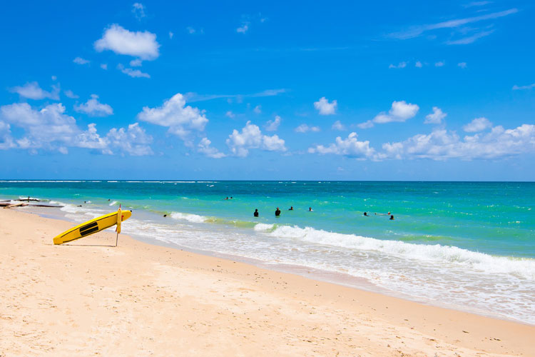 summer beach surf boards