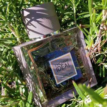 Guerlain L'Homme Ideal Eau de Parfum Bottle Rosemary Bush