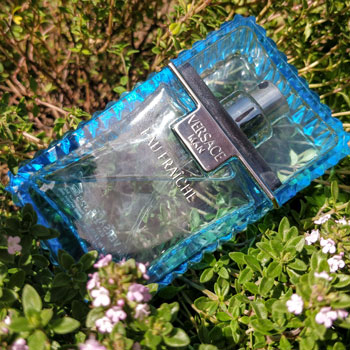 Versace Man Eau Fraiche Bottle Thyme Bush