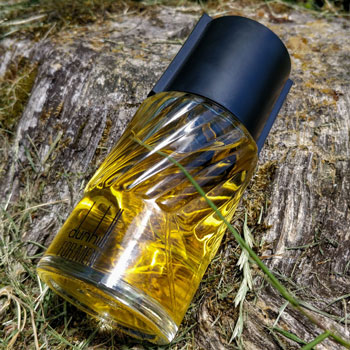 Dunhill For Men Cologne On Oak Stump