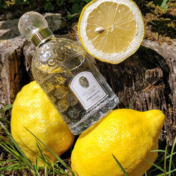Guerlain Eau de Fleurs de Cédrat Flacon & Lemons