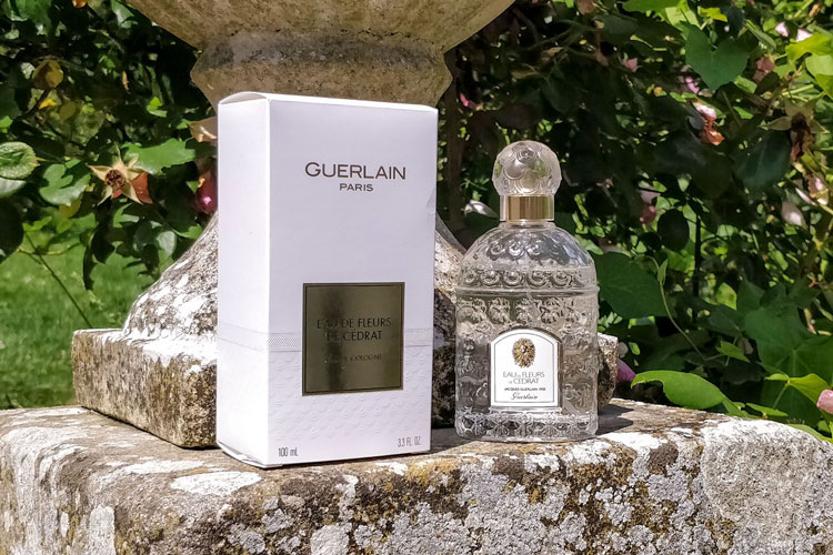 Guerlain Eau de Fleurs de Cédrat Flacon On Old Wall