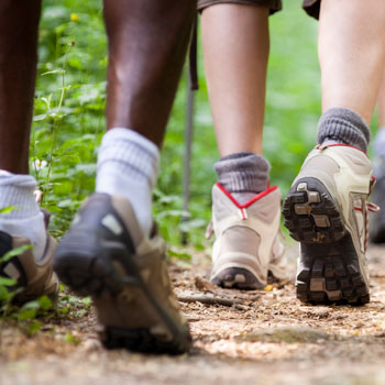 People Trekking Along Country Path