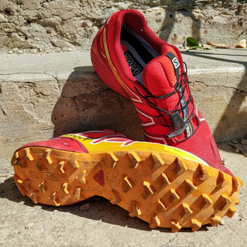 Salomon Speedcross 4 GTX Stone Steps